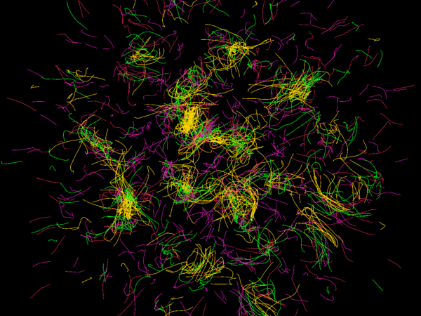 A dense field of colored particle trails on a black background. Yellow, green, magenta, and red lines twist, loop, and cluster into swirling shapes that radiate from the center. The image resembles traces of many moving particles driven by simulated attraction and repulsion forces.